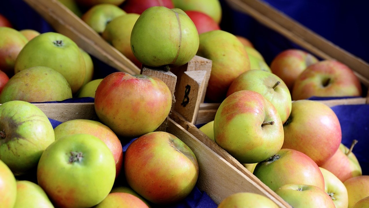 Jablka oproti loňsku podražila o více než 40 procent. Ilustrační foto: Pixabay.com