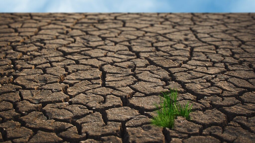 V Česku se změna klimatu projevuje také vlnami sucha. Ilustrační foto: Pixabay.com