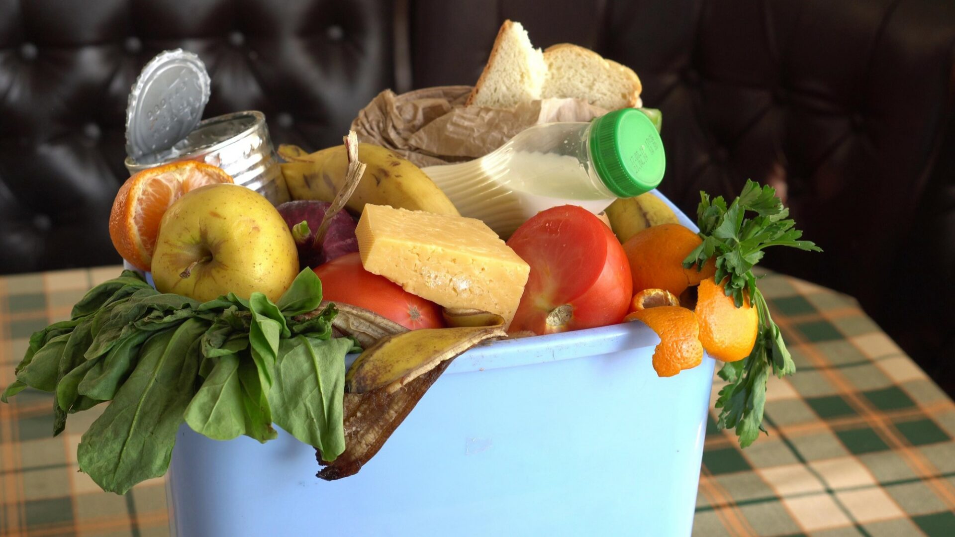 V Česku ročně skončí v popelnicích stovky tisíc tun potravin. Ilustrační foto: Depositphotos.com