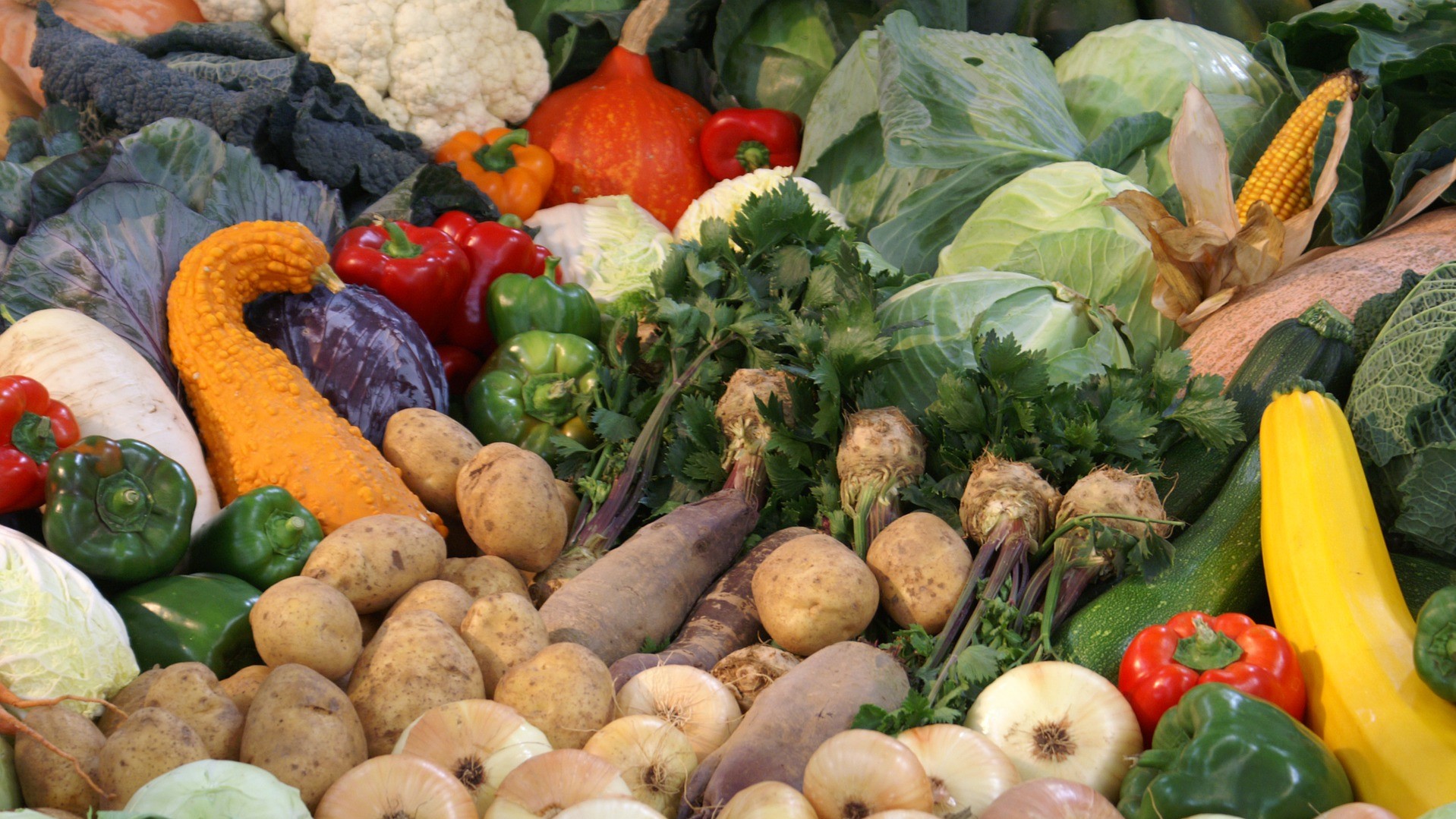 Zelenina zlevnila o 16,9 procenta a brambory o 18,5 procenta. Ilustrační foto: Pixabay.com