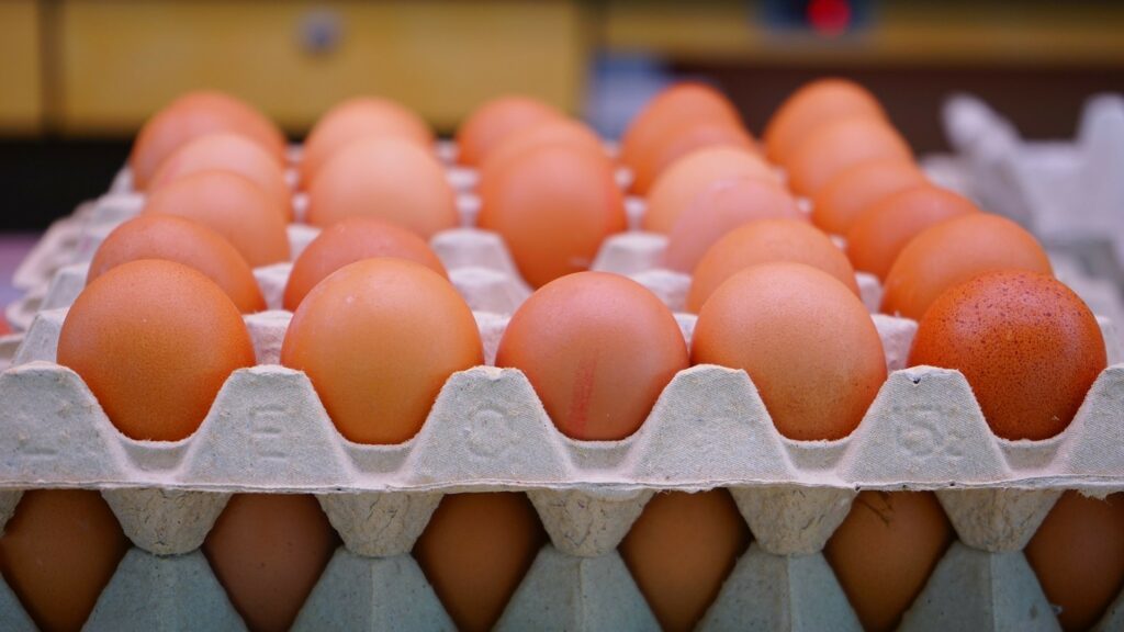 Mezi zemědělskými položkami rostly ceny v živočišné výrobě; meziročně šly nahoru především ceny vajec (o 48,3 %).Ilustrační foto: Pixabay.com