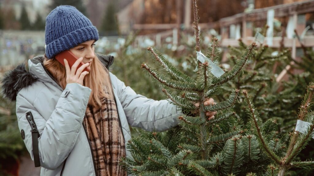 Prodej vánočních stromků už je v plném proudu. Ilustrační foto: Depositphotos.com