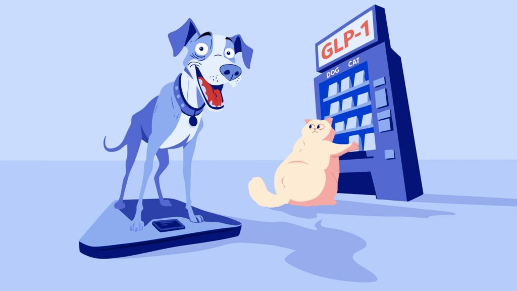 Vědci obracejí svou pozornost k další epidemii obezity, tentokrát u domácích mazlíčků. Ilustrace: Saxo Bank, se souhlasem