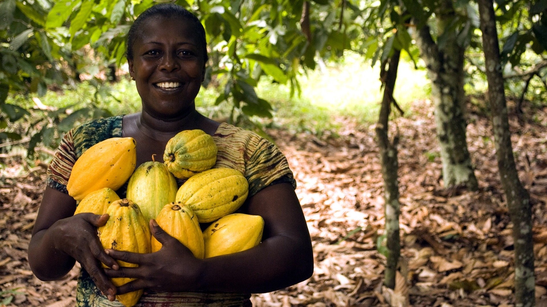 Téměř 60 procent světové produkce kakaa generují pouhé dvě země – Pobřeží slonoviny a Ghana. Ilustrační foto: Pixabay.com