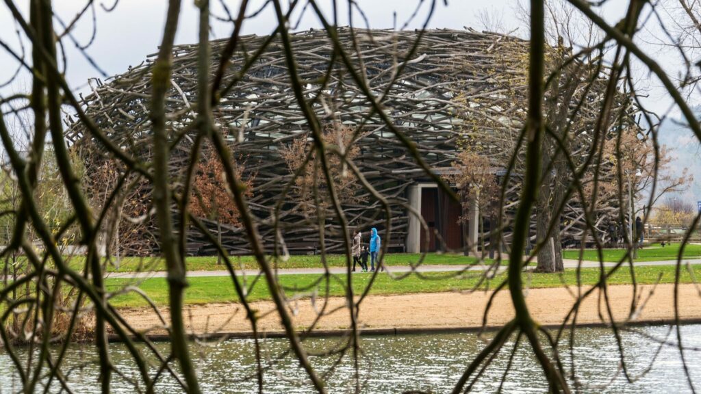 Bohužel je to tak, že kauza Čapí hnízdo je de facto nejdůležitější téma domácí politiky. Ilustrační foto: Depositphotos.com