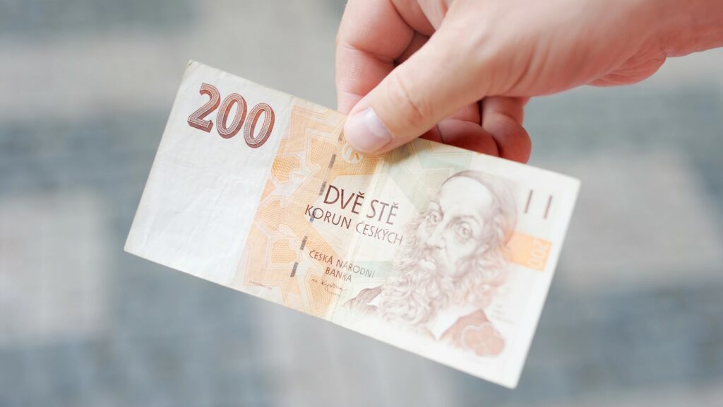 Do 200 korun přispívá 48 procent domácností s příjmem do 30 000 Kč. Ilustrační foto: Depositphotos.com