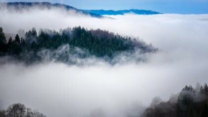 V neznámém terénu není problém za nepříznivého prostředí zabloudit. Ilustrační foto: Pixabay.com