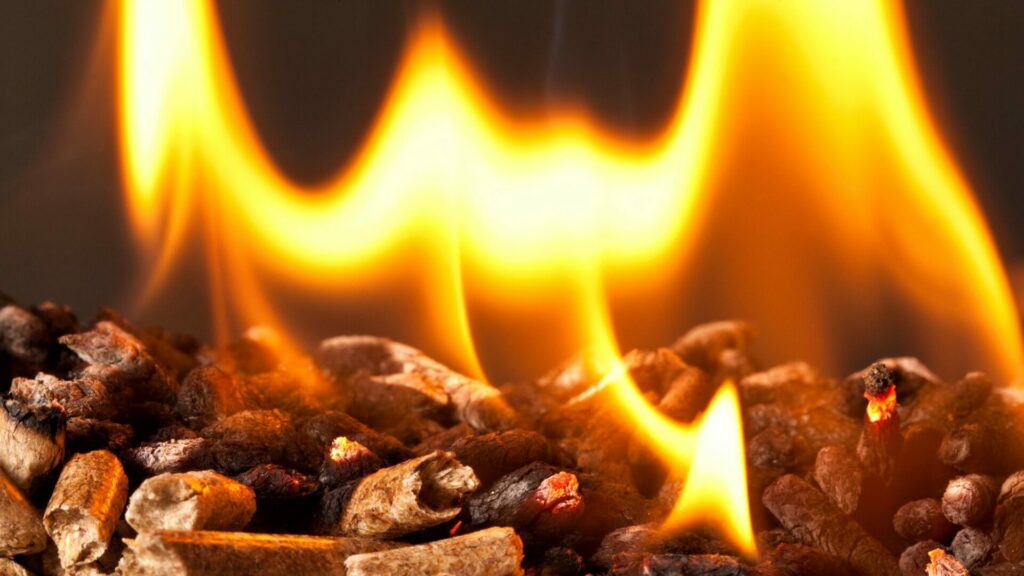 Dřevo je dlouhodobě nejlevnějším druhem paliva pro vytápění domácností. Ilustrační foto: Pixabay.com