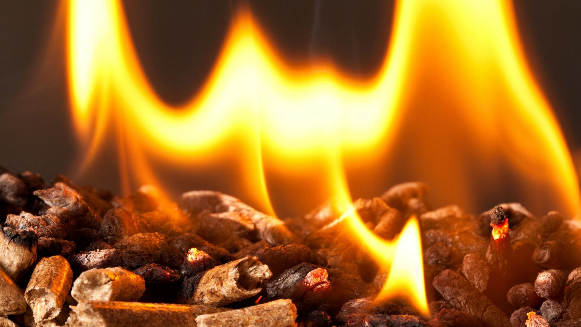 Dřevo je dlouhodobě nejlevnějším druhem paliva pro vytápění domácností. Ilustrační foto: Pixabay.com