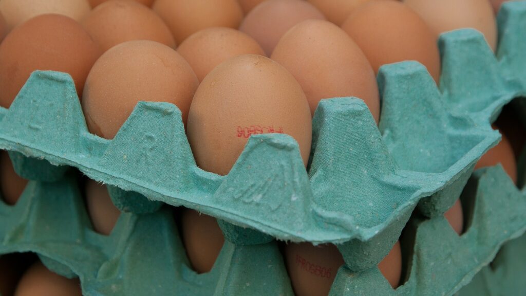 Lze předpokládat, že v nadcházejících týdnech mohou ceny vajec opět růst. Ilustrační foto: Pixabay.com